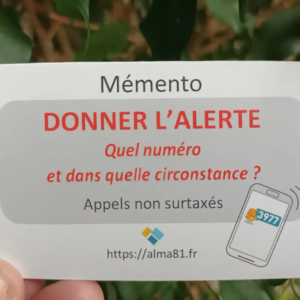 fete-des-assos-alma-81-2025-3